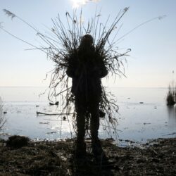 conférence: "Jardin sauvage", Véronique Boucheron