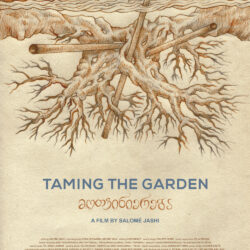 Taming the garden