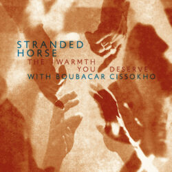Stranded Horse [folk sans frontières]