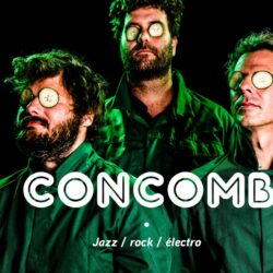 Concombre [Voyage instrumental et rocambolesque]