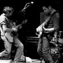 Subtle Turnhips [rock abrupt]